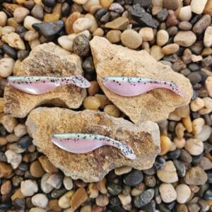 Three oyster shells with pink interiors on small stones.