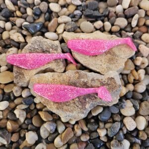 Bright pink fungus growing on rough bark pieces among small stones.