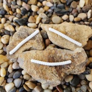Pebbles arranged to form a smiling face on a stone.