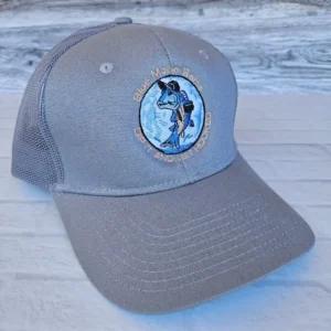 Gray baseball cap with a blue and white embroidered logo.